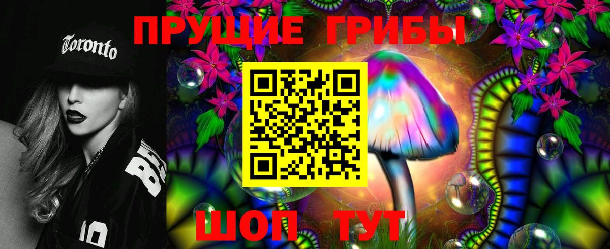 Мыски  Псилоцибиновые грибы Psilocybe  Вход с VPN 